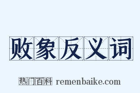败象反义词是什么意思的图片